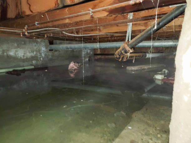 Best 24/7 water damage repair  in Evans City, PA