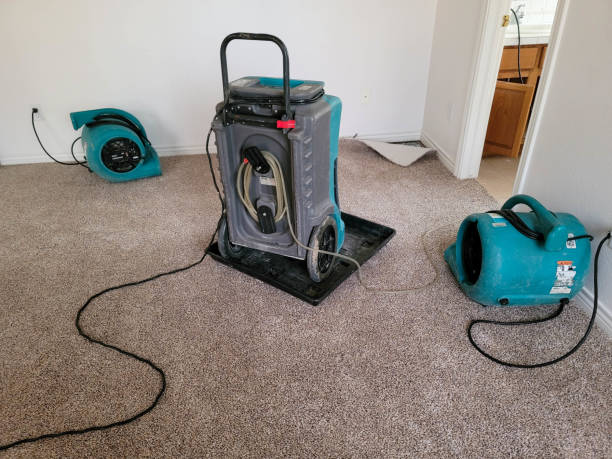 Best Mold removal after water damage  in Evans City, PA