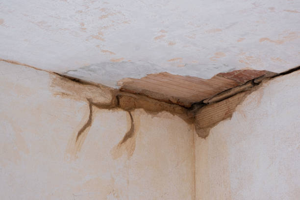 Best Sewage cleanup and water damage restoration  in Evans City, PA