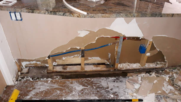 Best Commercial water damage restoration  in Evans City, PA