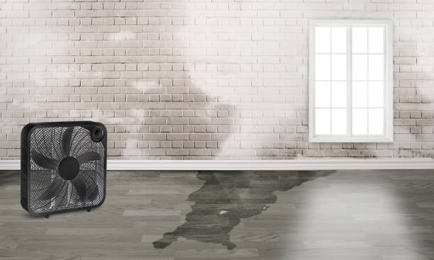  Evans City, PA Water damage restoration Pros