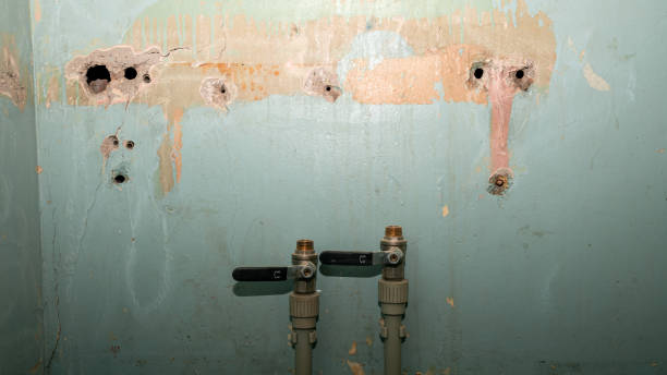 Best Flood damage cleanup  in Evans City, PA