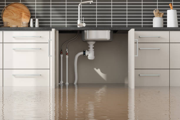 Best Flood restoration services  in Evans City, PA