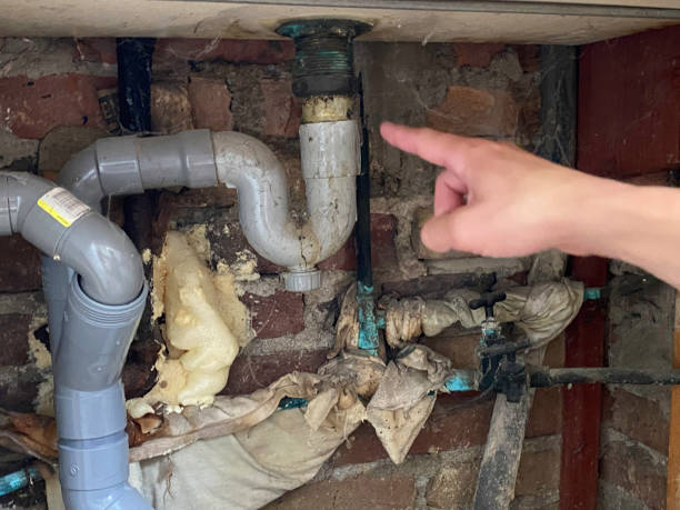 Best Water damage restoration near me  in Evans City, PA
